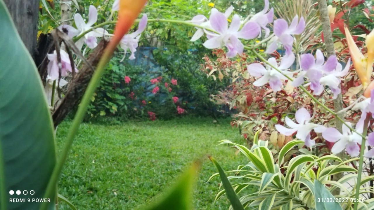 Marari Sabari Home Stay Марарікулем Екстер'єр фото